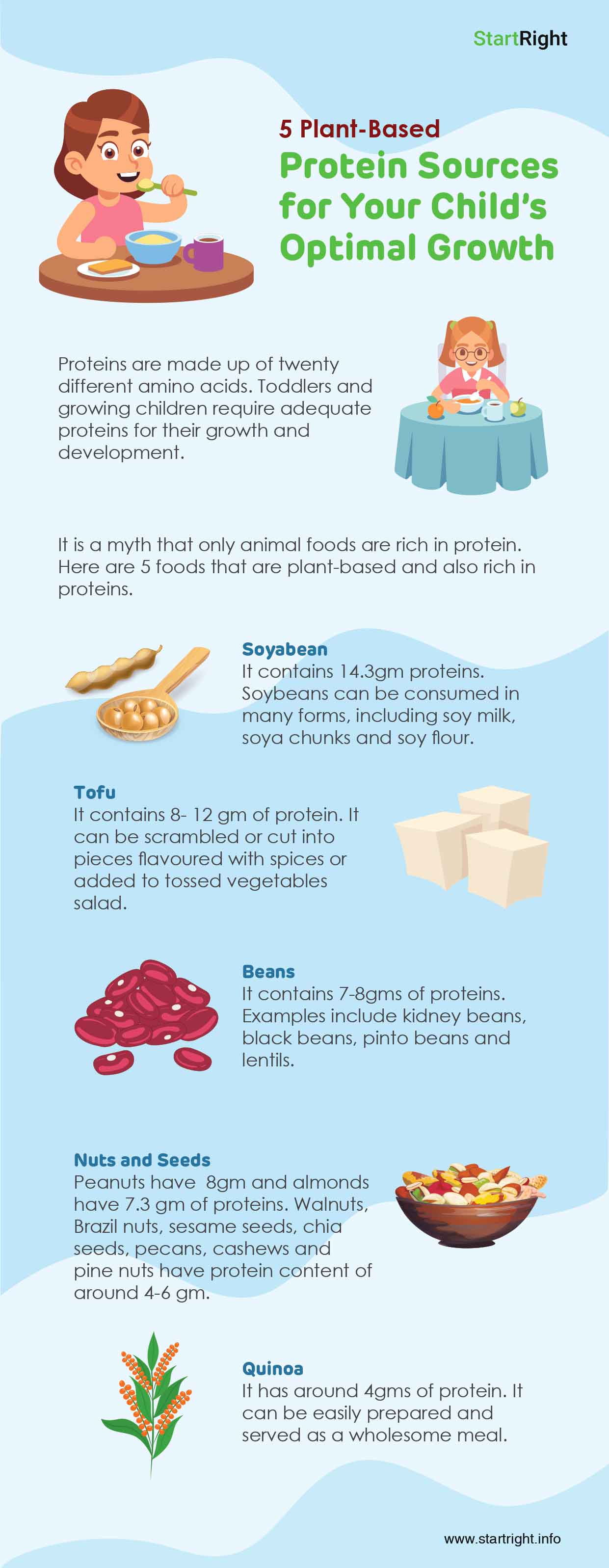 Plant-Based Protein Sources for Your Child's Optimal Growth - Startright