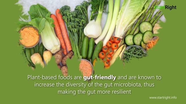 Plant-Based Diet for a Healthy Gut