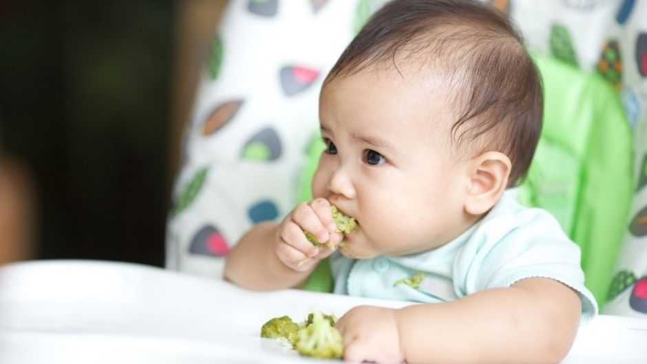 10 Useful Tips For Raising Vegan Kids