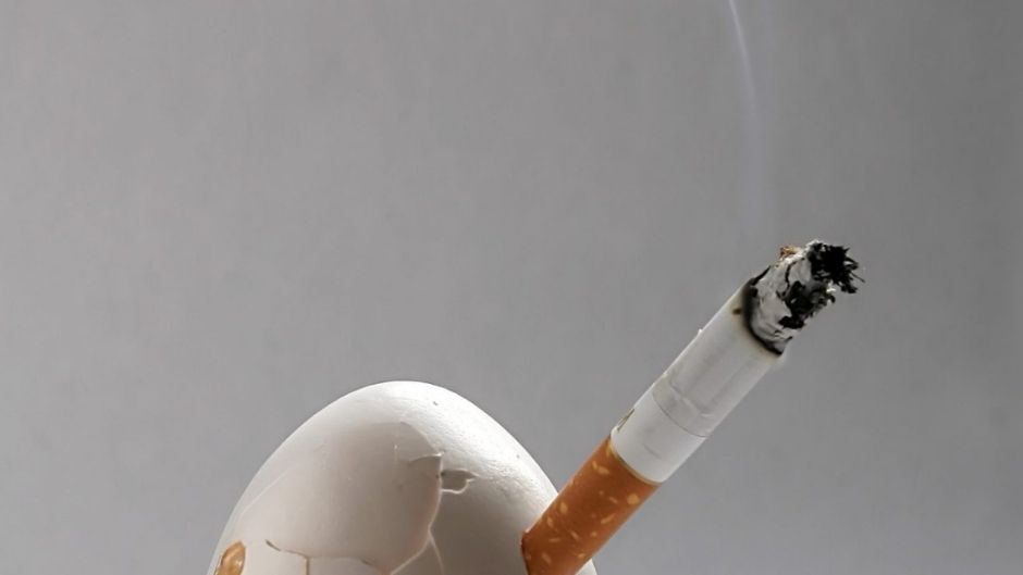 What is the Relation Between Eating Eggs and Smoking?