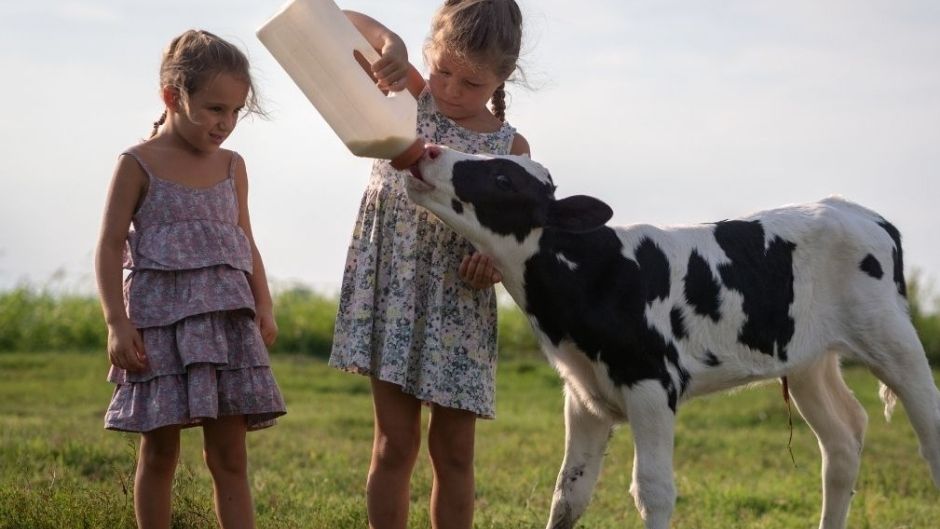End Animal Cruelty: Leading Your Kids By Example