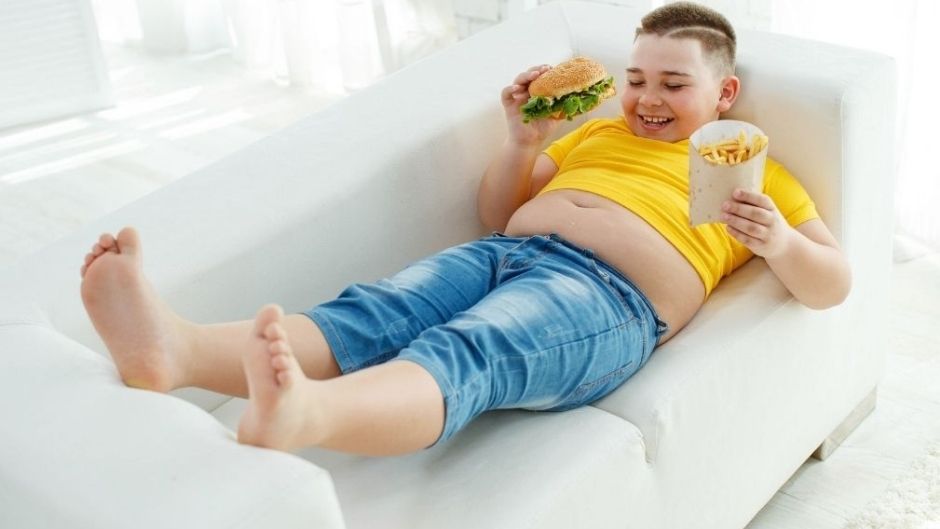 How Fast Foods Are Inducing Obesity In Your Child?